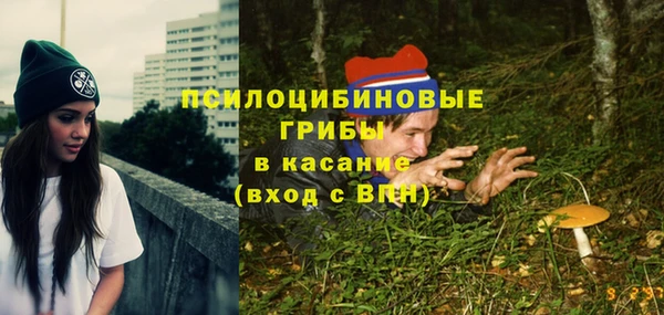 прущая мука Алзамай