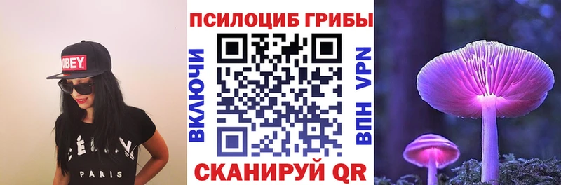 Галлюциногенные грибы мухоморы  MEGA   Циолковский  продажа наркотиков 