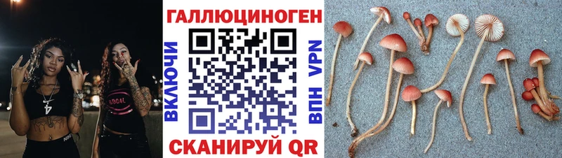 Псилоцибиновые грибы Psilocybe Циолковский